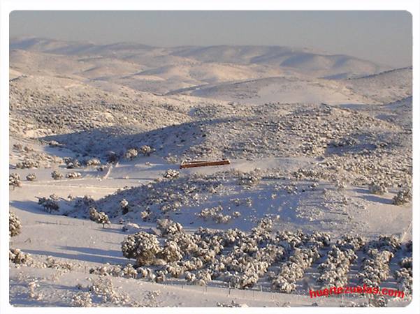 El Toril Nevado